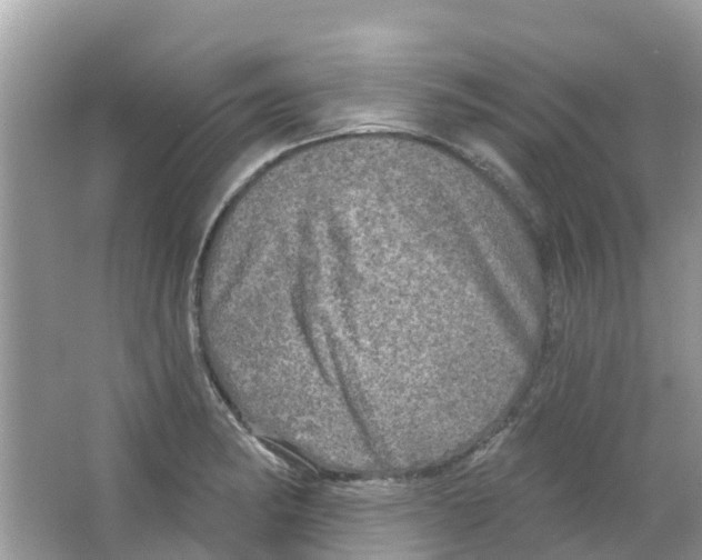 X0000063531182200602172234