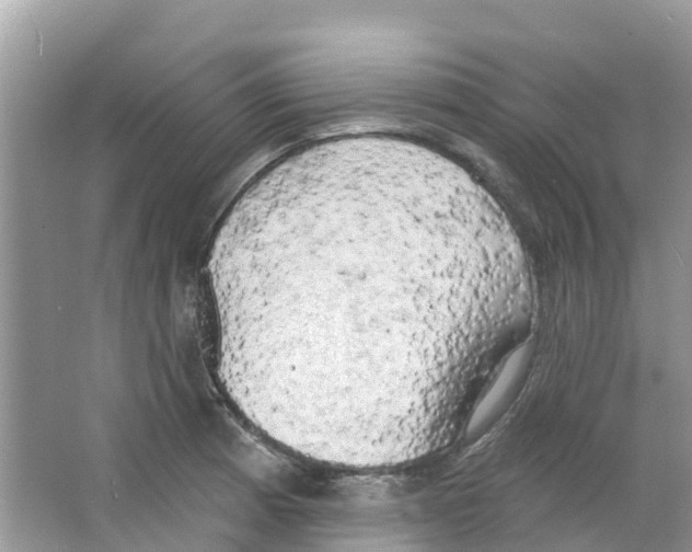 X0000063531185200602172234