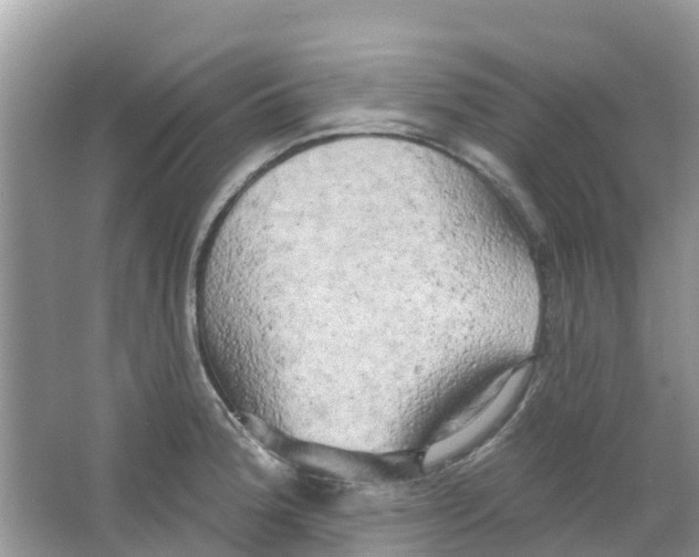 X0000063531188200602172234