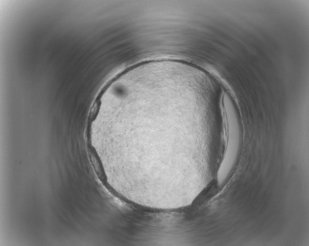 X0000063531189200602172234