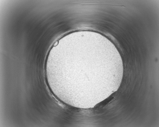 X0000063531191200602172234