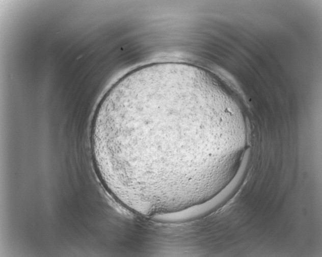 X0000063531192200602172234