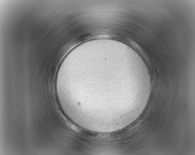 X0000063531194200602172234