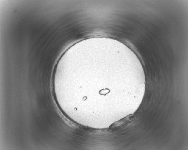 X0000063531195200602172234