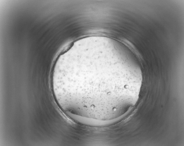 X0000063531196200602172234