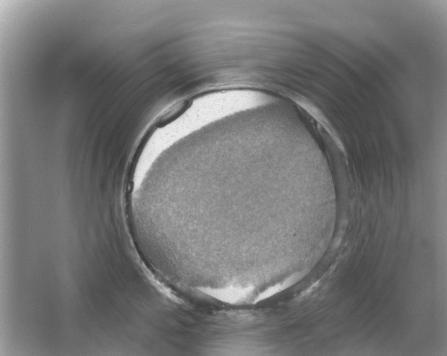 X0000063531197200602172234