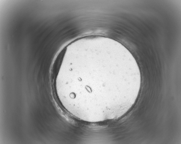 X0000063531200200602172234