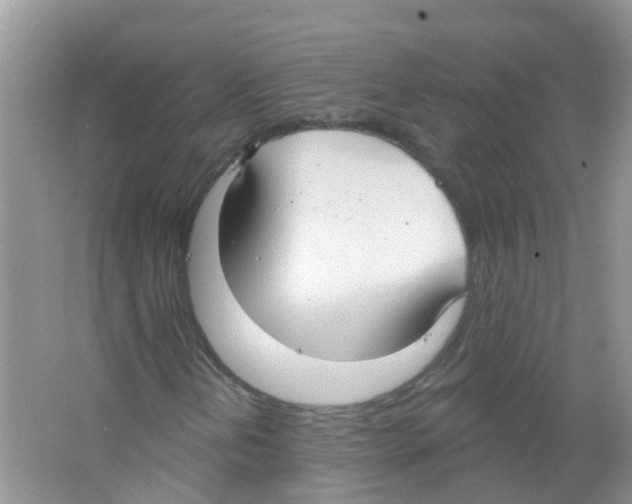 X0000063531202200602172233