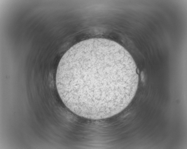 X0000063531203200602172233