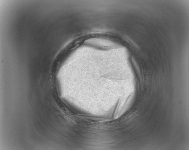 X0000063531208200602172233