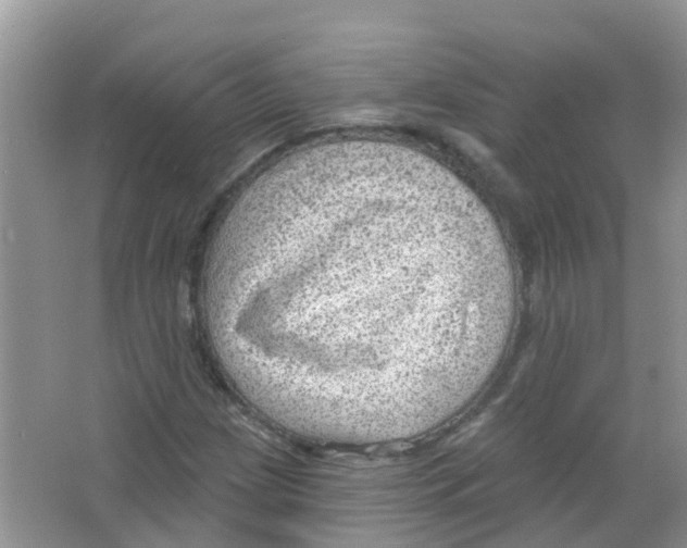 X0000063531209200602172233