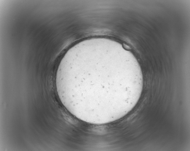 X0000063531211200602172233