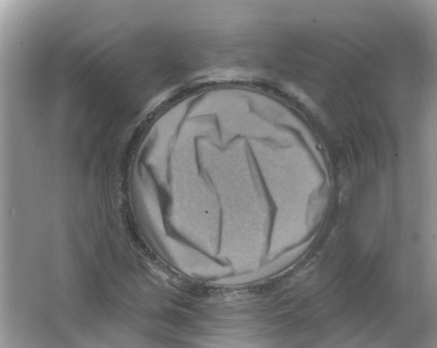 X0000063531213200602172233