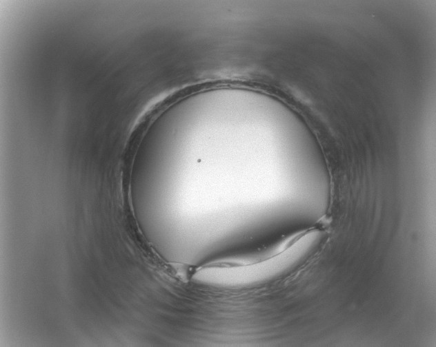 X0000063531214200602172233