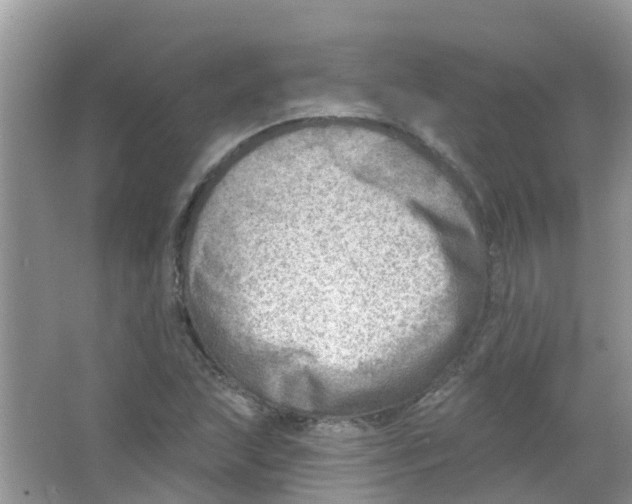 X0000063531215200602172233