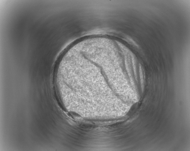 X0000063531216200602172233