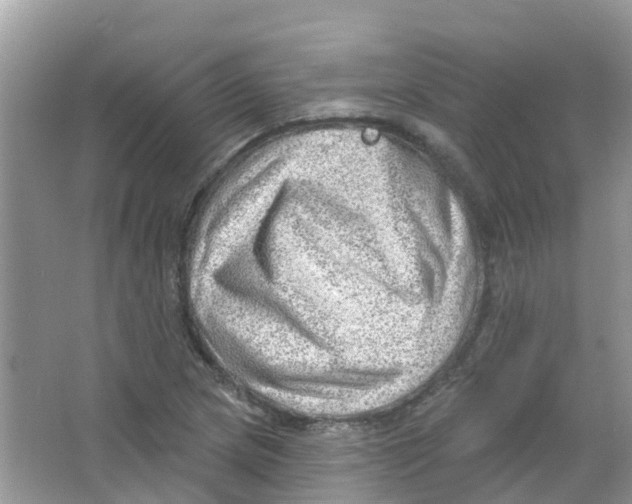 X0000063531217200602172233