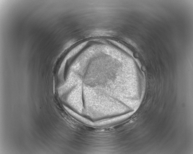 X0000063531219200602172233