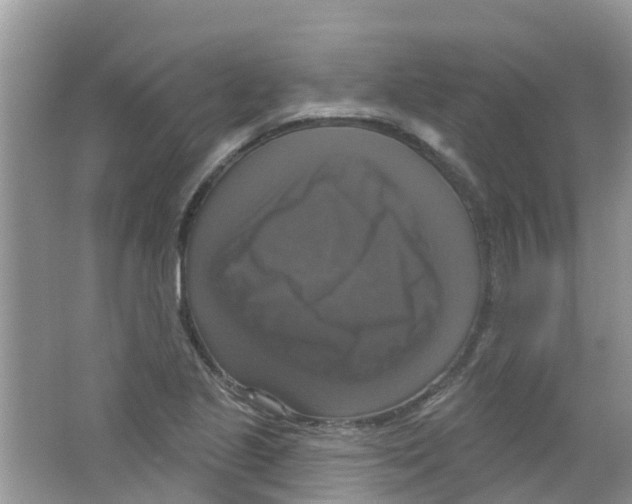 X0000063531221200602172233