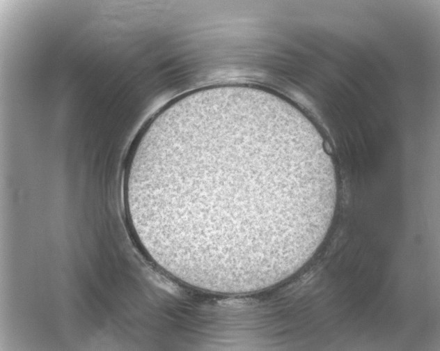 X0000063531227200602172233