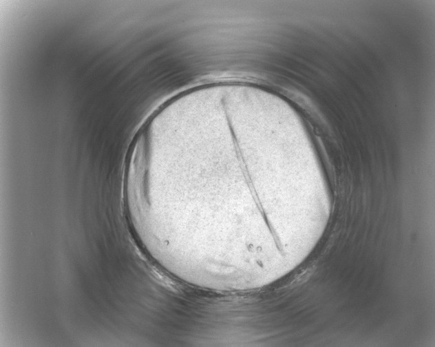 X0000063531228200602172234