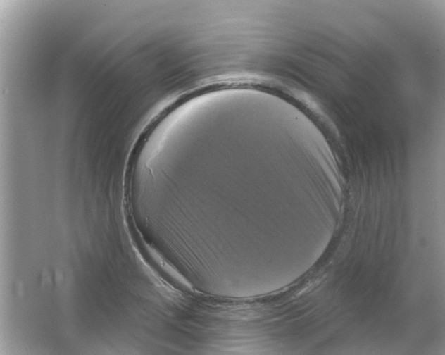 X0000063531229200602172234