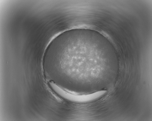 X0000063531230200602172234