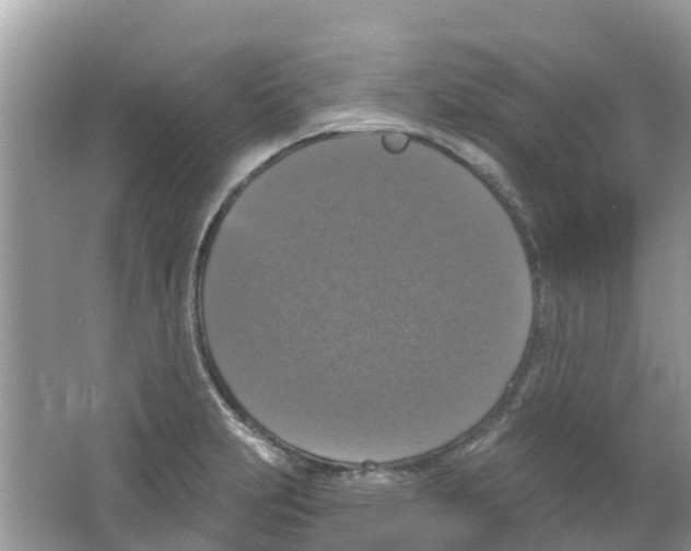 X0000063531231200602172234