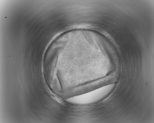 X0000063531232200602172234