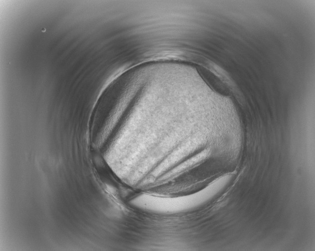 X0000063531234200602172234