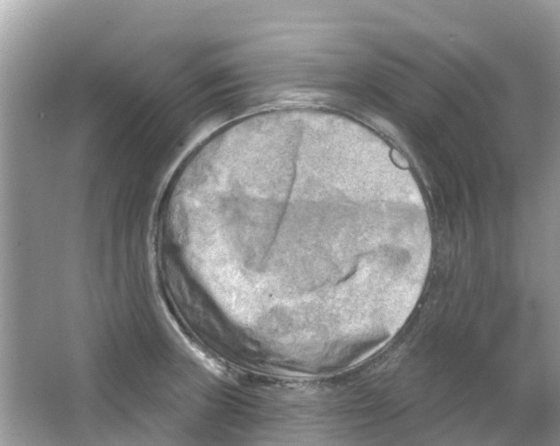 X0000063531235200602172234