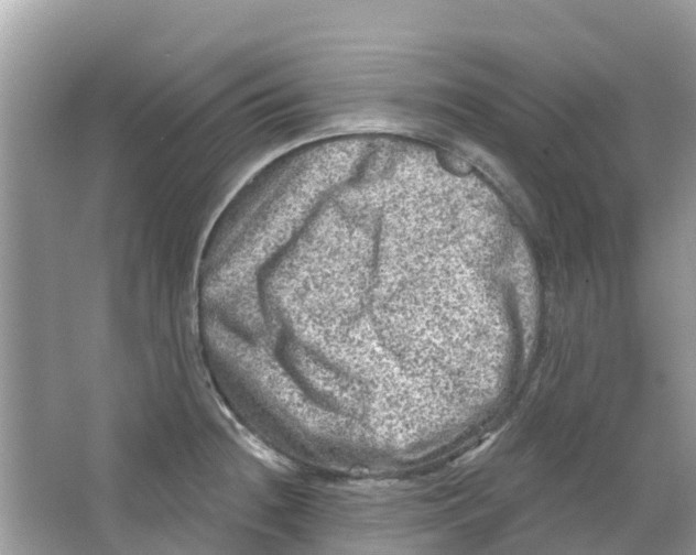 X0000063531236200602172234