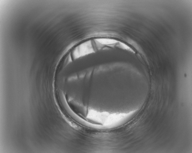 X0000063531237200602172234