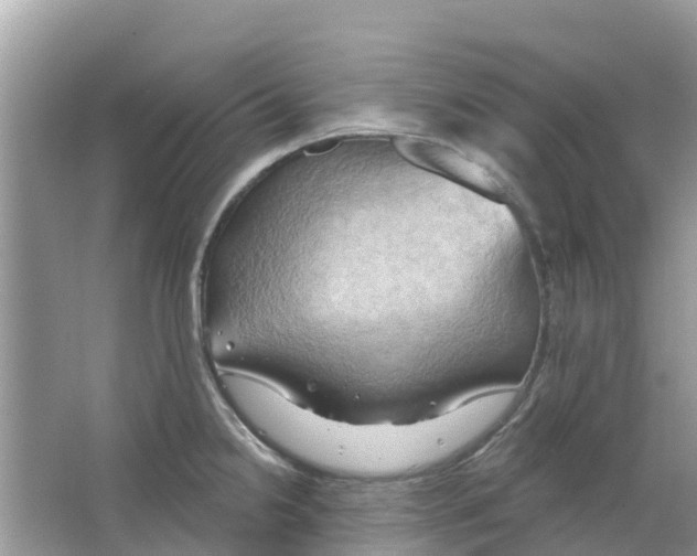 X0000063531238200602172234