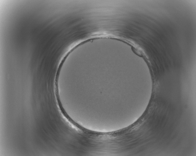 X0000063531239200602172234