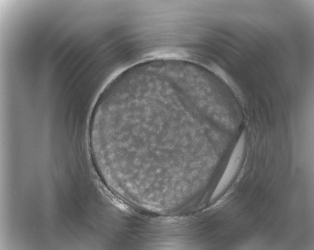 X0000063531240200602172234