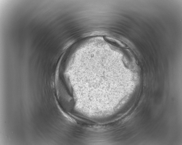 X0000063531241200602172234