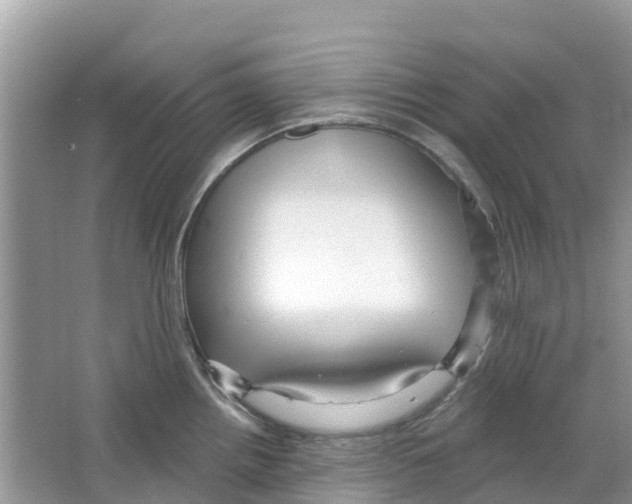 X0000063531242200602172234