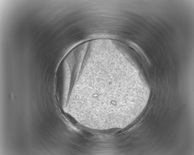 X0000063531244200602172234