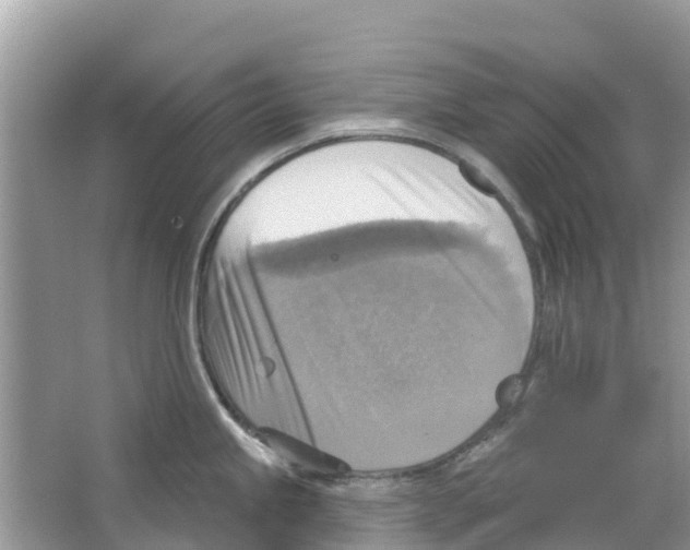 X0000063531245200602172234