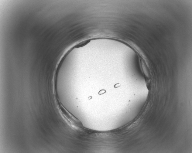 X0000063531246200602172234