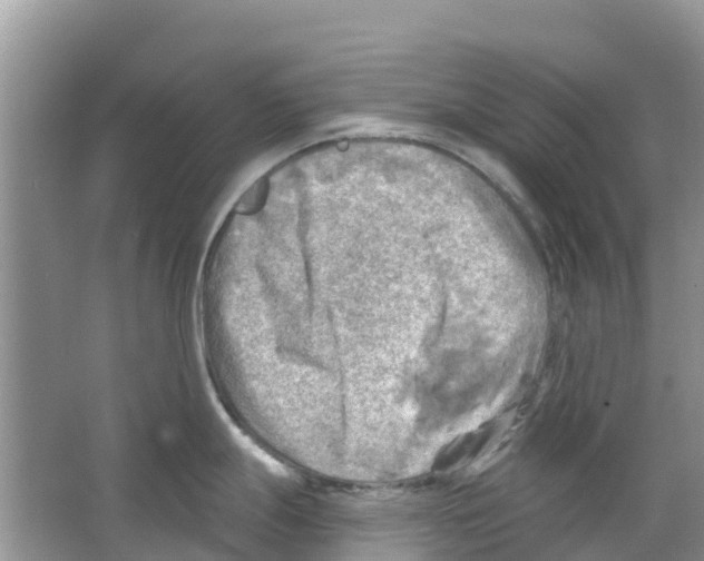 X0000063531247200602172234