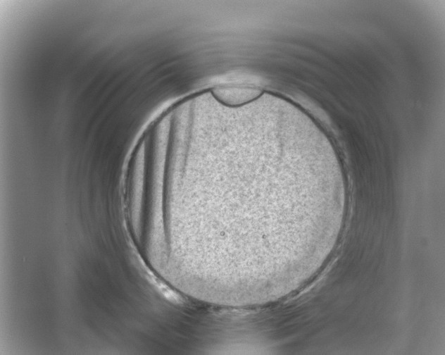 X0000063531248200602172234