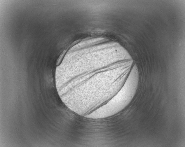 X0000063531252200602172233