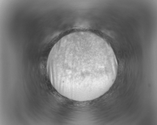 X0000063531254200602172233