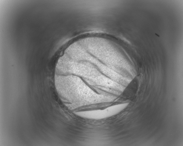 X0000063531255200602172233