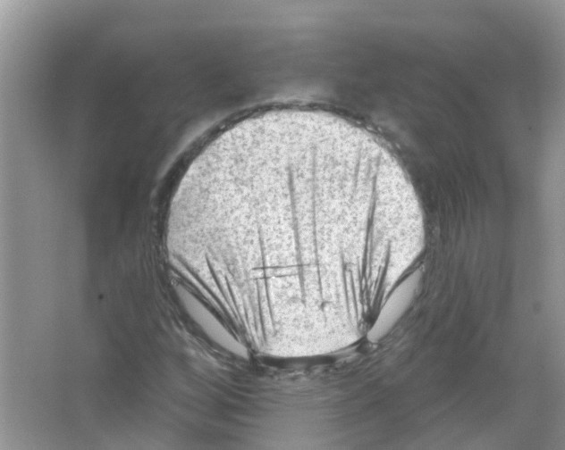 X0000063531256200602172233