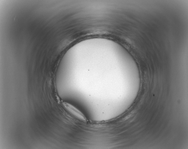 X0000063531257200602172233