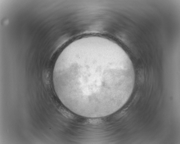 X0000063531258200602172233