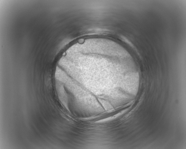 X0000063531259200602172233